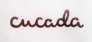 Caligrafía de logotipo Cucada