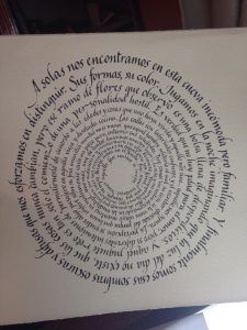 Historias mínimas, pozo caligráfico