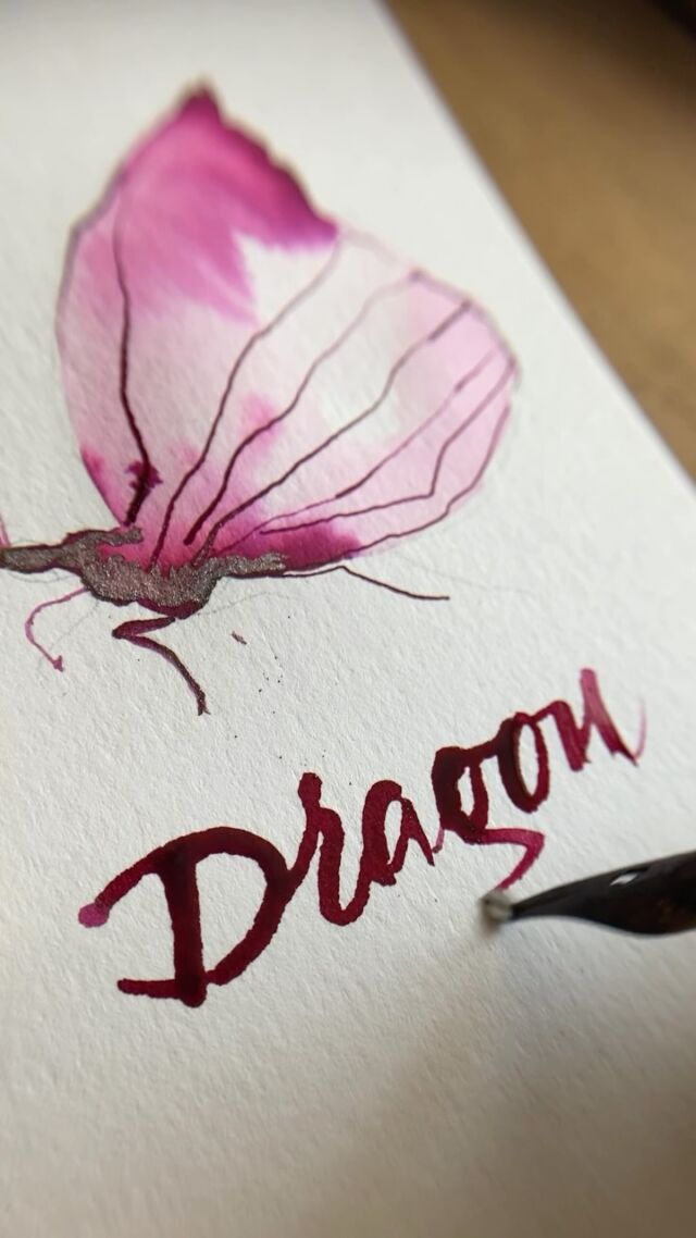 Una mariposa para una nueva muestra de tinta.
.
Esta vez sí que me gusta cómo ha quedado el dibujo. Cuanto más sencillo, mejor resultado me da. La tinta es Dragon’s Hollow.
.
.

El color es “Spirited Merlot with silver Green shimmer”: un tono vino muy vivo, con brillo verde plateado.

La tinta tiene un color de base especialmente llamativo, así que tampoco necesita mucho más para hacerse notar.
.
.

El nombre lo he escrito con una plumilla de rotulación de punta doblada, para conseguir un trazo grueso y que se aprecien bien el color y el brillo.
.
.
.
.

#ferriswheelpress #dragonshollow #inkswatch #fountainpenink #handwriting @ferriswheelpress 
.
.

Puedes comprar en la web de Ferris Wheel Press con un 15% de descuento usando el código JA-GORDO.

Ve al link in bio, que allí tienes enlaces directos a la tienda. ✒️